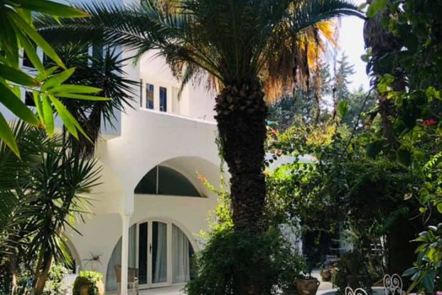 Dar Heiwa : Une maison d’hôtes à Hammamet