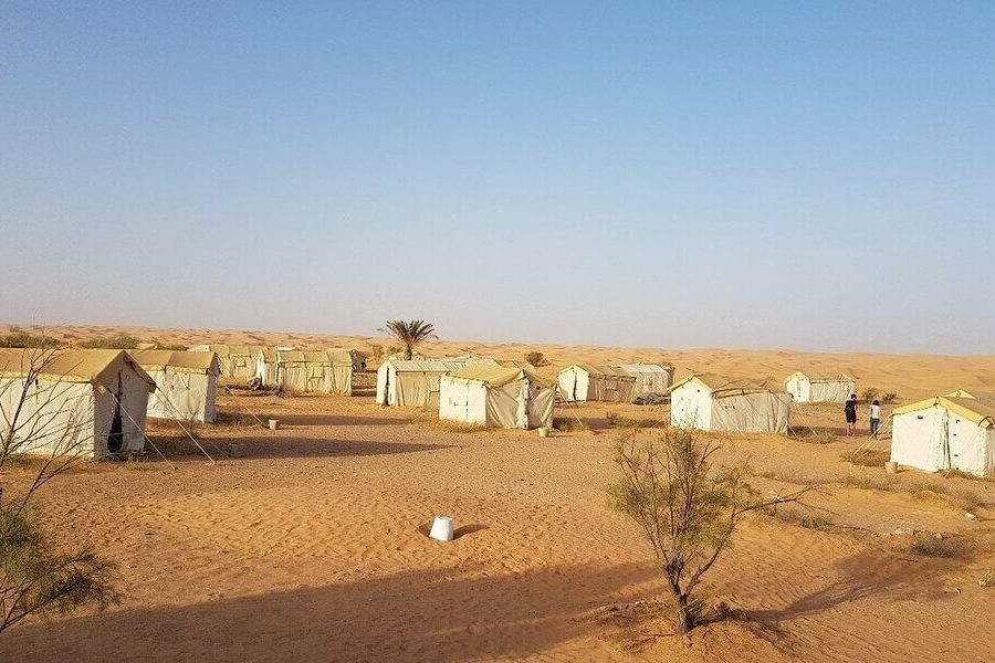 Camping à Sahara : Campement Zmela Lebrissa Douz